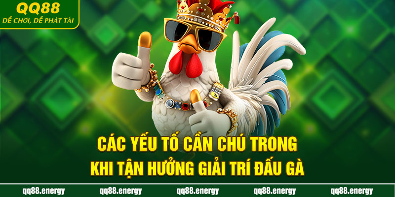 Các yếu tố cần chú trong khi tận hưởng giải trí đấu gà