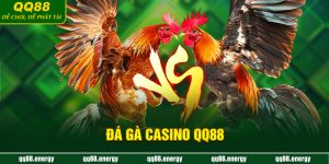 Đá gà casino