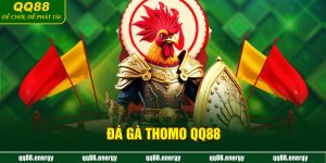 Đá gà Thomo