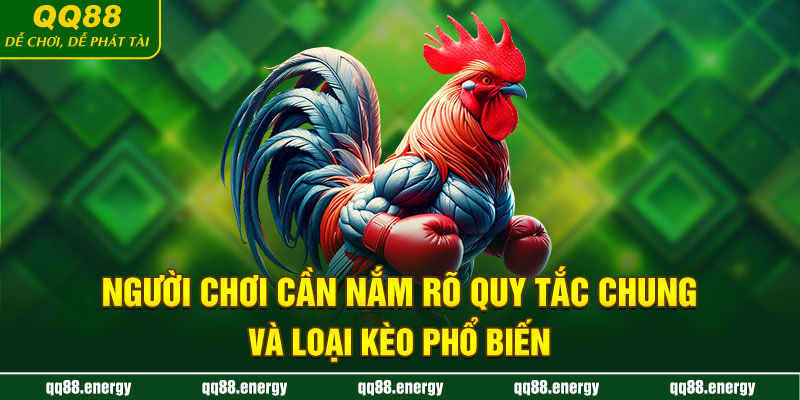 Người chơi cần nắm rõ quy tắc chung và loại kèo phổ biến