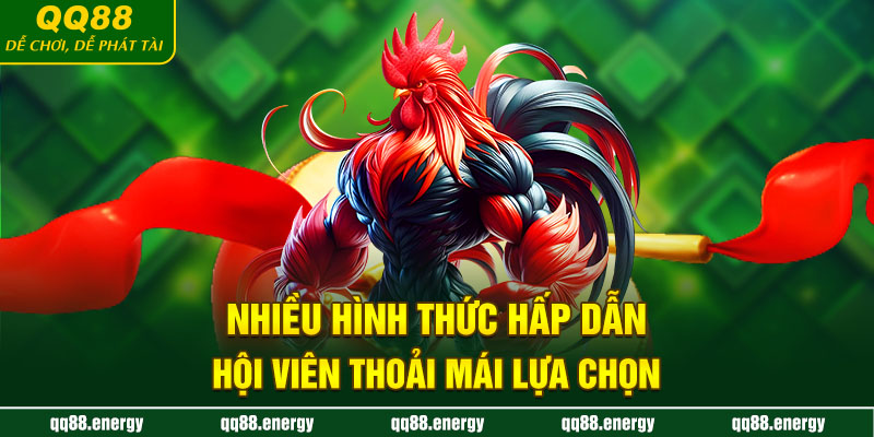 Nhiều hình thức hấp dẫn, hội viên thoải mái lựa chọn