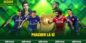 Poacher là gì