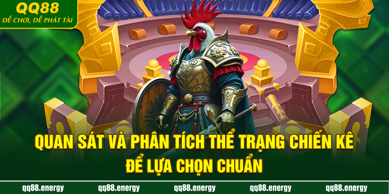 Quan sát và phân tích thể trạng chiến kê để lựa chọn chuẩn