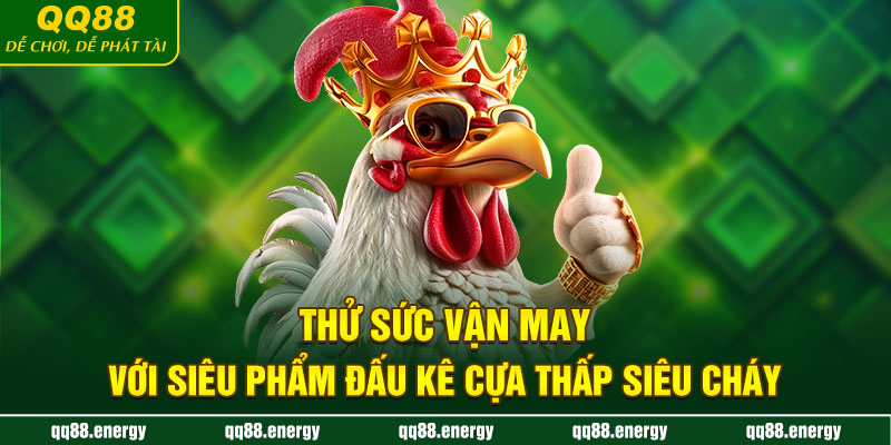 Thử sức vận may với siêu phẩm đấu kê cựa thấp siêu cháy