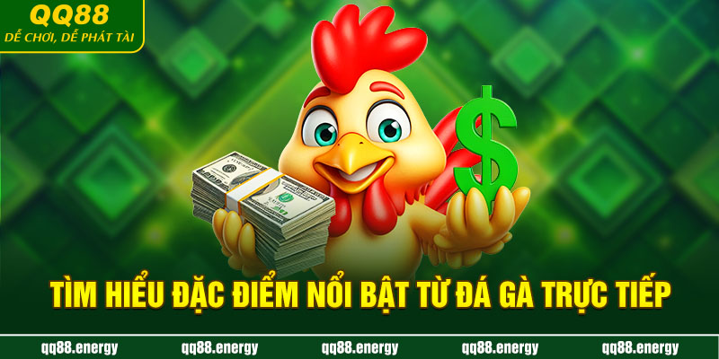 Tìm hiểu đặc điểm nổi bật từ đá gà trực tiếp