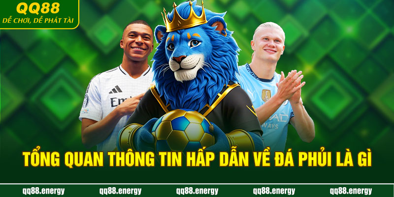 Tổng quan thông tin hấp dẫn về đá phủi là gì