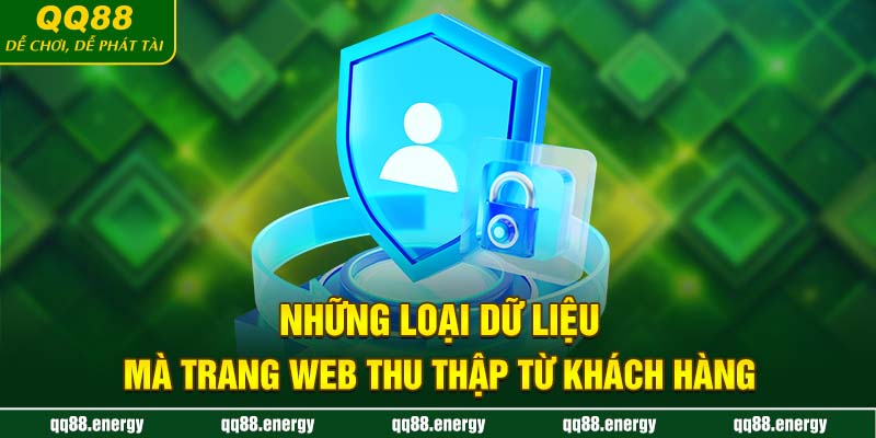 Những loại dữ liệu mà trang web thu thập từ khách hàng