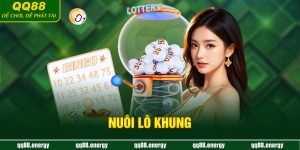 Nuôi lô khung